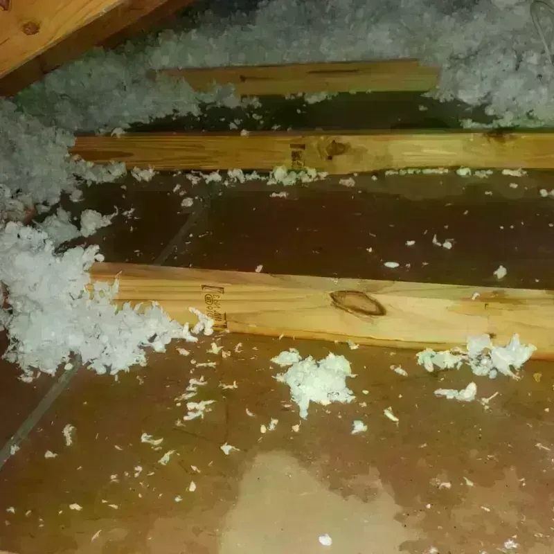 Attic Water Damage in King City, MO