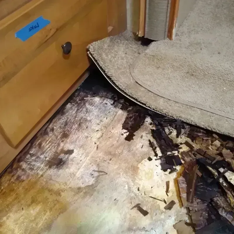 Wood Floor Water Damage in King City, MO